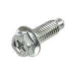 Lower Door Hinge Screw